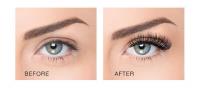 Lash & Brow by Jade image 2